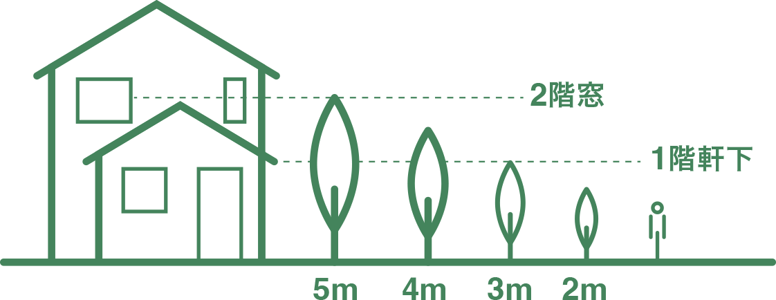 木の高さの目安